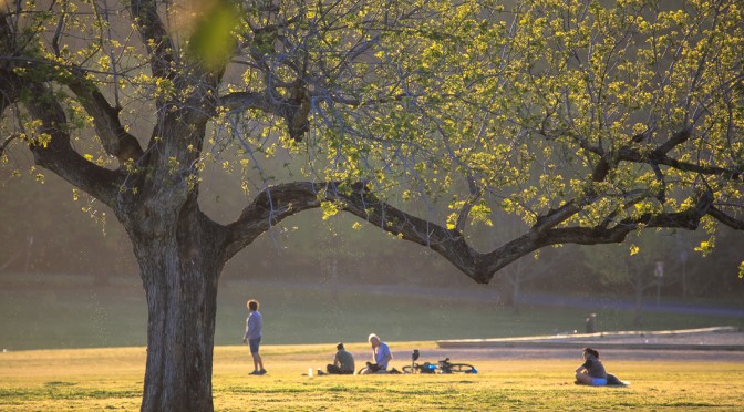 Principles of Landscape Ecology